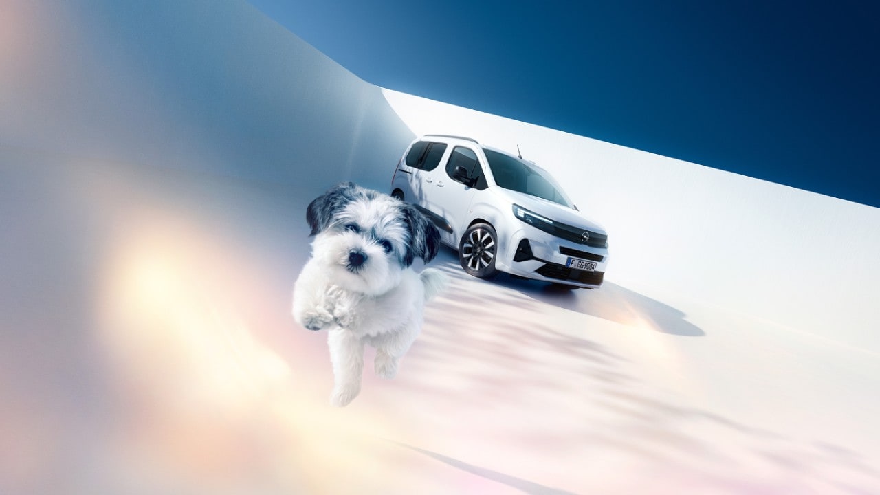 Vue de face d'une Opel Combo blanche  et d'un chien