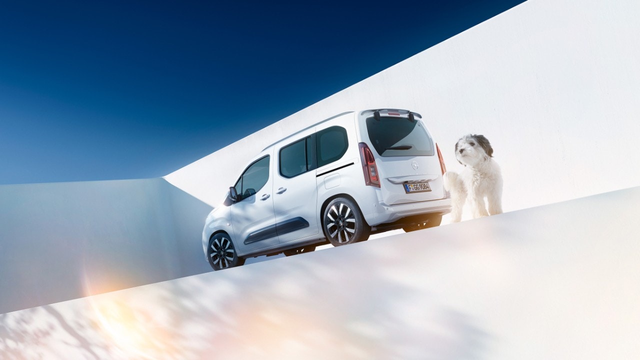 Vue arrière d'une Opel Combo blanche  et d'un chien à côté d'un chargeur Wallbox